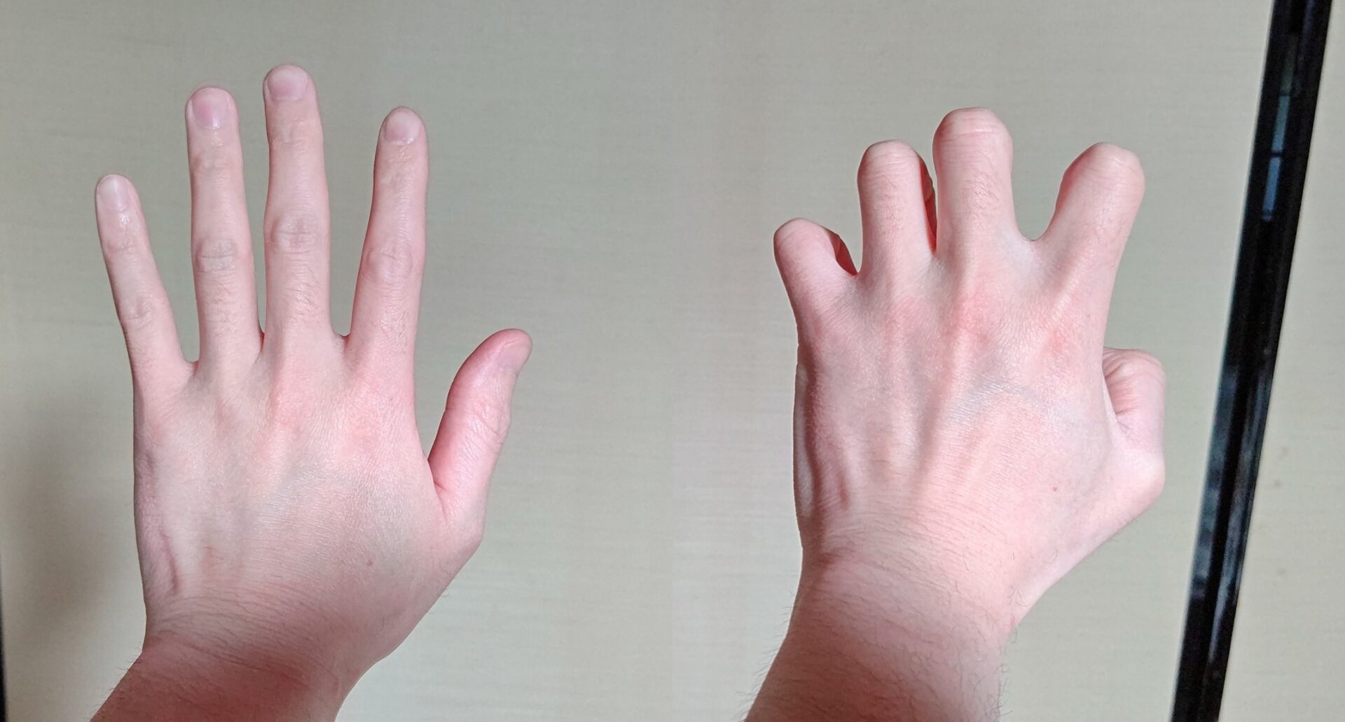 3種類 の握力を強くする 4つの鍛錬法 を紹介 リンゴを握りつぶす 筋トレねこ ぷにまる日記